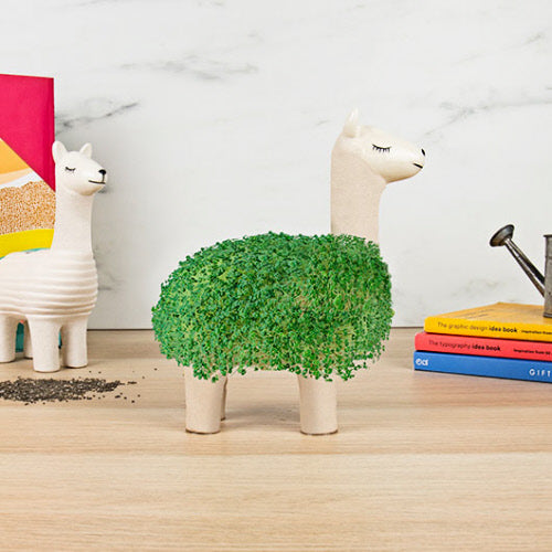 LLAMA PLANTER W/SEEDS